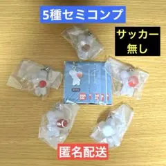 ☆匿名配送☆ 5種 beco+81 めじるしアクセサリー