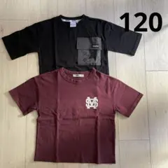 Tシャツ サイズ120