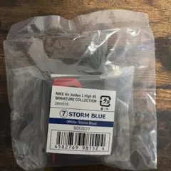 Item thumbnail for item 5e24df9b-bdc1-48e6-971e-bc2c1e249ba2