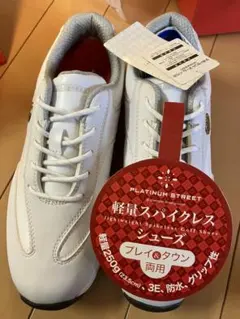 Item thumbnail for item 10417dfa-f062-47f1-8968-5098def1ece3