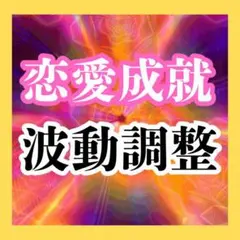 １万円OFF　N様専用価格波動調整