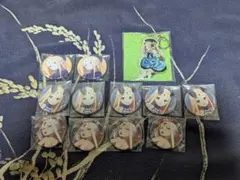 Fate/Grand Order アビゲイル 缶バッジ　アクキー　12点 Fate/Grand Order アビゲイル 缶バッジ アクキー 12点 - メルカリ