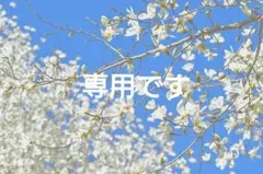 こちらは専用です》 - メルカリ