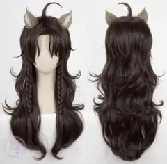2026年最新】レオナ コスプレの人気アイテム - メルカリ