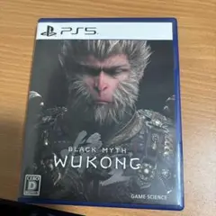 PS5 黒神話:悟空