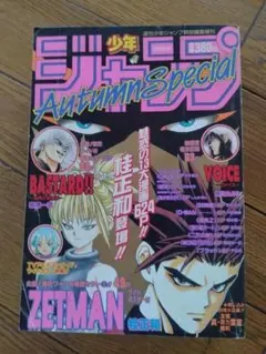 週刊少年ジャンプ 特別編集増刊 AutumnSpecial 1994年 - メルカリ