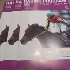 11/16 JRA レーシングプログラム 3