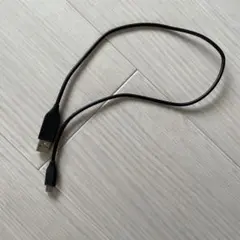 【純正】GoPro USB-C 充電ケーブルのサムネイル