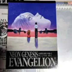 Lily様 リクエスト 2点 まとめ商品