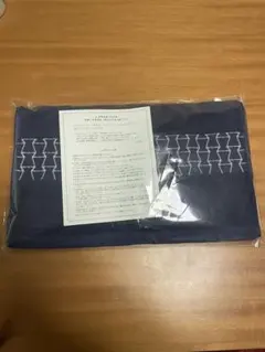 Item thumbnail for item ba43c9c2-130c-498a-83c1-e3422851f435