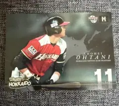 Y*y様 スポーツアルバムNO47 大谷翔平 北海道日本ハムファイターズ BBM Y*y様 スポーツアルバムNO47 大谷翔平 北海道日本ハムファイターズ BBM