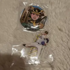 上沢直之 ソフトバンクホークス アクスタ アクスタくじ 缶バッジ セット
