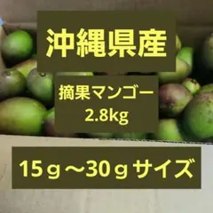 2026年最新】摘果マンゴーの人気アイテム - メルカリ