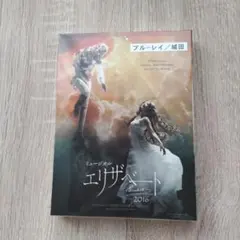 Item thumbnail for item 81bf079c-c868-4722-a4f0-f4853cce8664