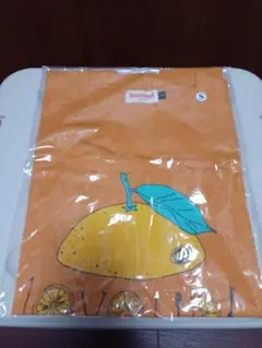 Item thumbnail for item 96498462-2470-4ada-a091-629fc1943285