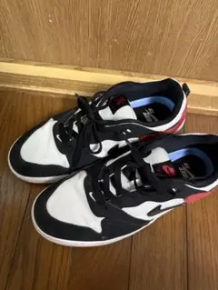 NIKE ナイキ　SB アリウープ　スニーカー　25.5