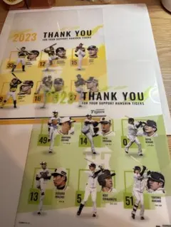 Item thumbnail for item be6d8260-7de9-417c-a082-886b69d0fdf6