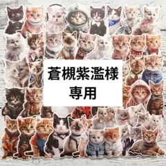 蒼槻紫濫様 リクエスト 2点 まとめ商品