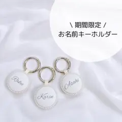 お名前キーホルダー/ネームタグ/入園/入学/進級/新年度準備/ネームキーホルダー