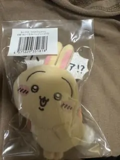 ちいかわ　うさぎだらけくじ　E賞　ぬいぐるみバッジ　ハァ！？