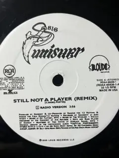 Big Punisher -Still Not A Player (Remix)