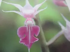 ナッシー様 リクエスト 3点 まとめ商品