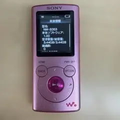 い*ン様 【レア】SONY ウォークマンNW-S13 ディズニー 3GB ミッキ