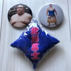 Item thumbnail for item 30580e13-5701-47ab-b664-5bc245c3fe39