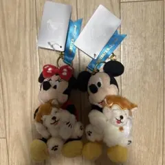 【送料込】【新品】渋谷限定　ミッキー ミニー ぬいぐるみ セット　芝犬　ハチ公のサムネイル