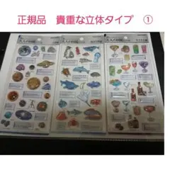 値下げ　大人の図鑑シール　3D　3枚　カクテル　天体　海洋生物　正規品➀