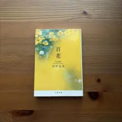 Item thumbnail for item c099a087-1999-44ce-a748-3b4ae362bb0a