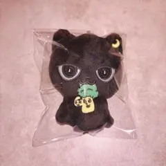 八木勇征　メンプロ　クーウィー