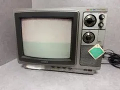 2025年最新】SONYテレビデオの人気アイテム - メルカリ