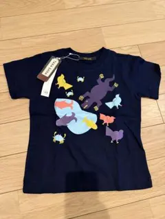 Item thumbnail for item 3759b2af-d8c0-4f8a-862e-ccd2f4ab72fc