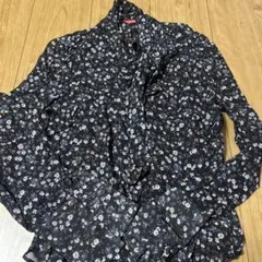 Item thumbnail for item 7c898eb5-c494-450d-a503-662deff4cb08