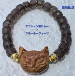 2026年最新】アラシャン猫の人気アイテム - メルカリ