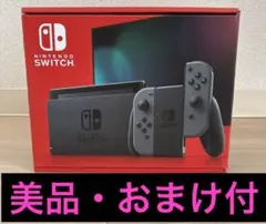 Nintendo Switch グレー本体セット クリアカバー 携帯ケース付