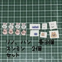 straykids スキズ　リノ　ハン　skzoo ネイルパーツ　ネイルシール付