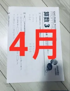 早稲田アカデミー　ワセアカ　マンスリーテスト　小3 1年分セット　原本 早稲田アカデミー ワセアカ マンスリーテスト 小3 1年分セット 原本