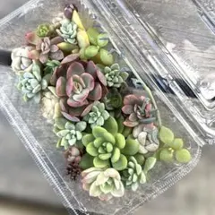 totto••to様 リクエスト 2点 まとめ商品