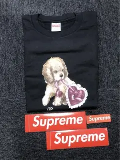 Item thumbnail for item 24fd3448-4b2f-43b1-9e04-088a4f8f3fcc