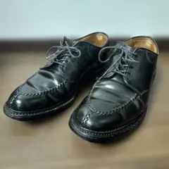 Item thumbnail for item 515739dc-0840-4020-afa3-c78b9c3b135d