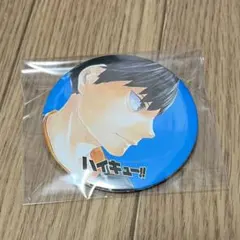 ハイキュー コレクション缶バッジ 第４弾 影山飛雄