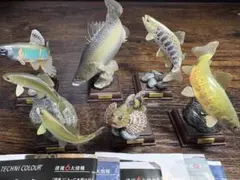 Item thumbnail for item c325f082-4b09-4c0c-ac2a-d131a5f6d96c