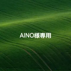 AINO様専用