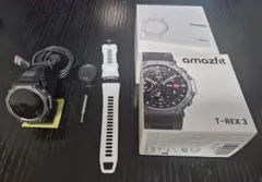 Item thumbnail for item da69d67a-403e-4160-99ff-15802373e8d8