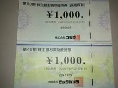 ビックカメラ コジマ 株主優待券 11000円分