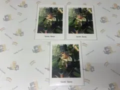 あんスタ ぱしゃっつ 瀬名泉 ②