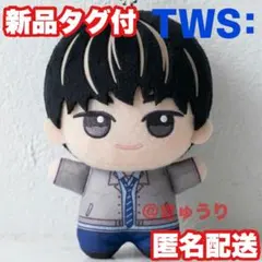 【ドフン】TWS: plot twist ちびぐるみ DOHOON ぬいぐるみ