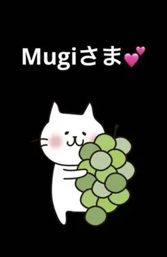 「専用出品」Mugiさま（お任せBOX）
